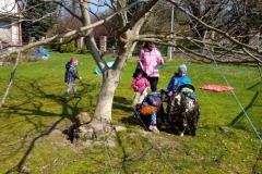 IMG_20230428_095515_0