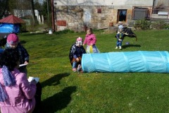 IMG_20230428_100701_1